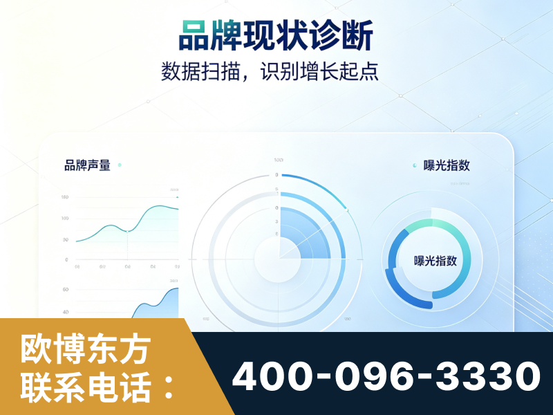 嫩江-品牌现状诊断