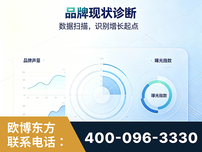 嫩江-品牌现状诊断