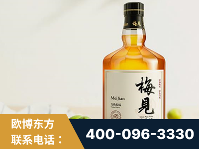 嫩江-梅见青梅酒